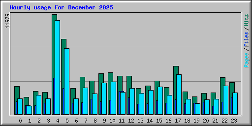 Hourly usage for December 2025