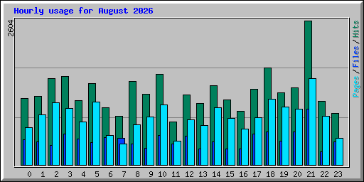 Hourly usage for August 2026