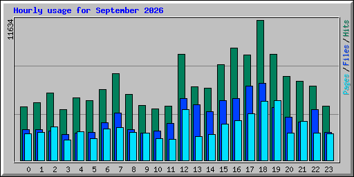 Hourly usage for September 2026